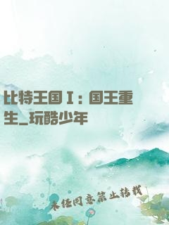 比特王国Ⅰ: 国王重生
